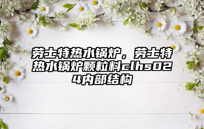 勞士特熱水鍋爐，勞士特熱水鍋爐顆粒料clhs024內(nèi)部結(jié)構(gòu)