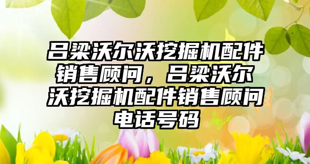 呂梁沃爾沃挖掘機配件銷售顧問，呂梁沃爾沃挖掘機配件銷售顧問電話號碼