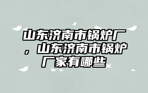 山東濟(jì)南市鍋爐廠，山東濟(jì)南市鍋爐廠家有哪些