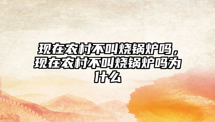 現(xiàn)在農(nóng)村不叫燒鍋爐嗎，現(xiàn)在農(nóng)村不叫燒鍋爐嗎為什么