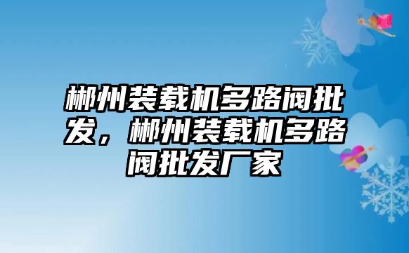 郴州裝載機(jī)多路閥批發(fā)，郴州裝載機(jī)多路閥批發(fā)廠家