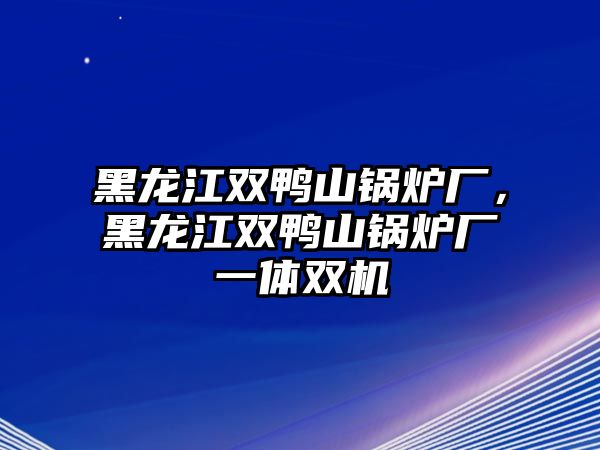 黑龍江雙鴨山鍋爐廠，黑龍江雙鴨山鍋爐廠一體雙機