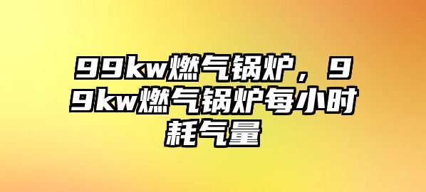 99kw燃氣鍋爐，99kw燃氣鍋爐每小時耗氣量