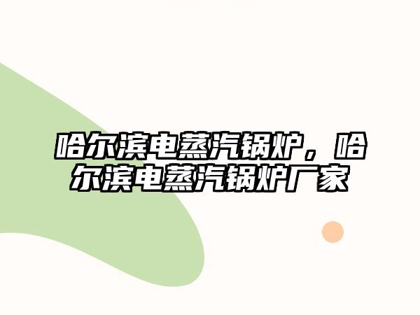 哈爾濱電蒸汽鍋爐，哈爾濱電蒸汽鍋爐廠家