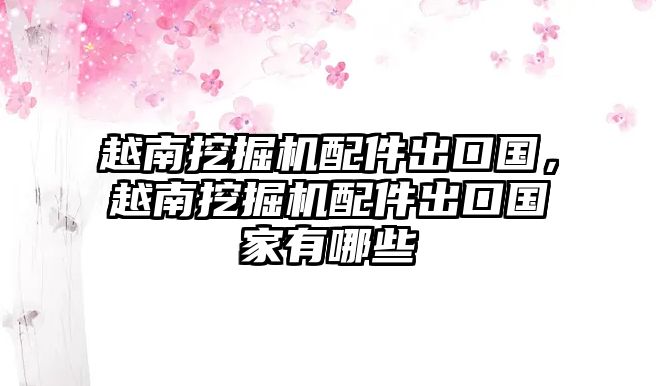 越南挖掘機配件出口國，越南挖掘機配件出口國家有哪些