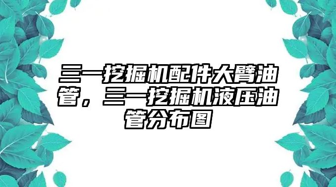 三一挖掘機(jī)配件大臂油管，三一挖掘機(jī)液壓油管分布圖