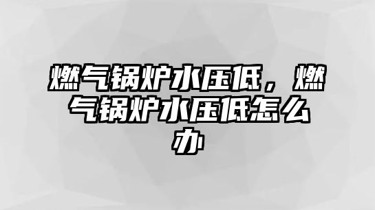 燃?xì)忮仩t水壓低，燃?xì)忮仩t水壓低怎么辦