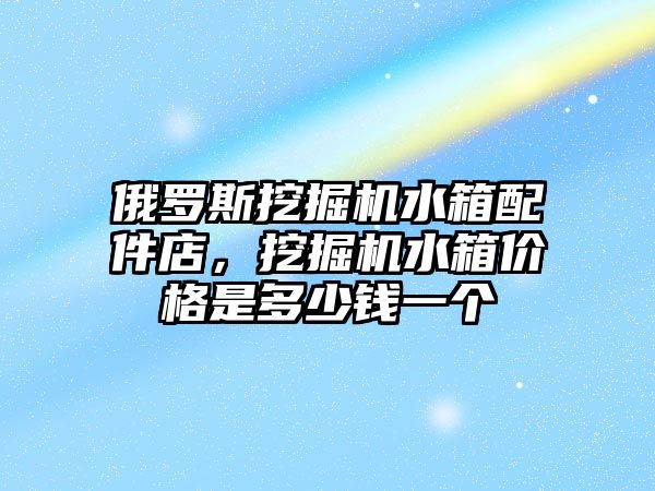 俄羅斯挖掘機水箱配件店，挖掘機水箱價格是多少錢一個