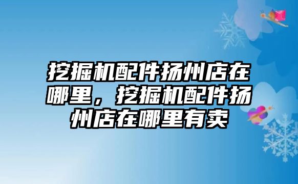 挖掘機配件揚州店在哪里，挖掘機配件揚州店在哪里有賣