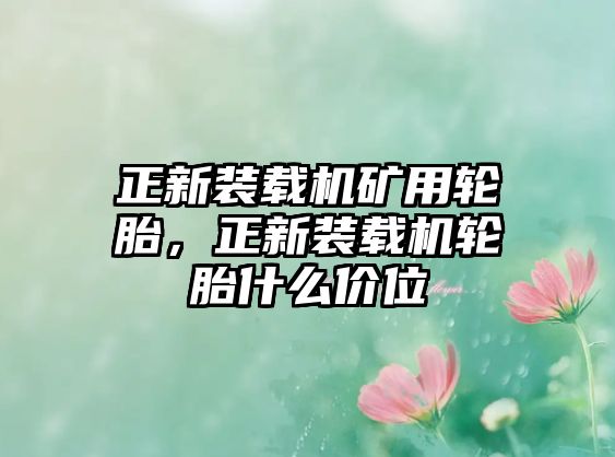 正新裝載機(jī)礦用輪胎，正新裝載機(jī)輪胎什么價(jià)位