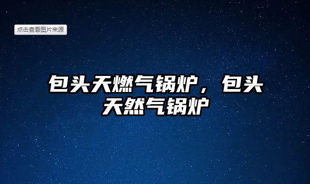 包頭天燃?xì)忮仩t，包頭天然氣鍋爐