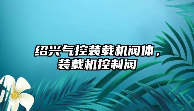 紹興氣控裝載機閥體，裝載機控制閥