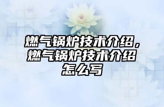 燃?xì)忮仩t技術(shù)介紹，燃?xì)忮仩t技術(shù)介紹怎么寫