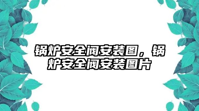 鍋爐安全閥安裝圖，鍋爐安全閥安裝圖片