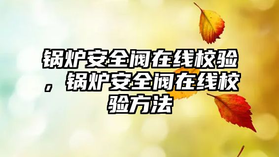 鍋爐安全閥在線校驗(yàn)，鍋爐安全閥在線校驗(yàn)方法