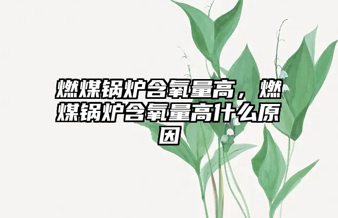 燃煤鍋爐含氧量高，燃煤鍋爐含氧量高什么原因