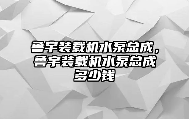 魯宇裝載機水泵總成，魯宇裝載機水泵總成多少錢