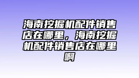 海南挖掘機(jī)配件銷售店在哪里，海南挖掘機(jī)配件銷售店在哪里啊