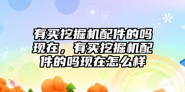 有買挖掘機配件的嗎現(xiàn)在，有買挖掘機配件的嗎現(xiàn)在怎么樣