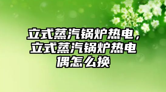 立式蒸汽鍋爐熱電，立式蒸汽鍋爐熱電偶怎么換