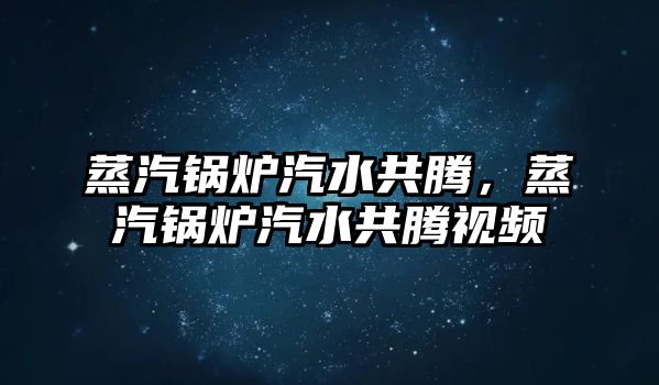 蒸汽鍋爐汽水共騰，蒸汽鍋爐汽水共騰視頻