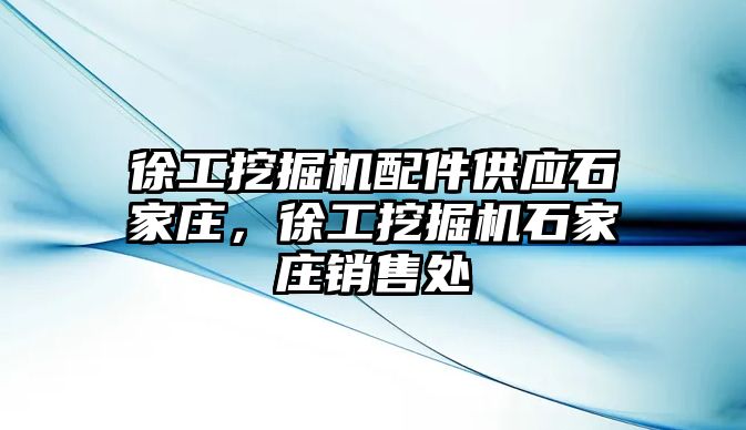 徐工挖掘機配件供應(yīng)石家莊，徐工挖掘機石家莊銷售處