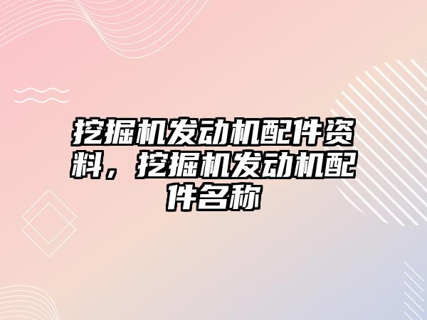 挖掘機發(fā)動機配件資料，挖掘機發(fā)動機配件名稱