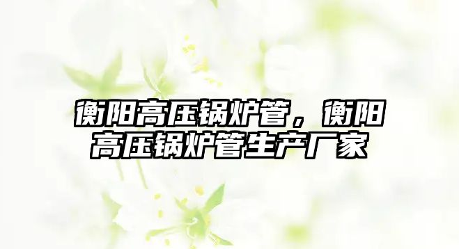 衡陽高壓鍋爐管，衡陽高壓鍋爐管生產(chǎn)廠家