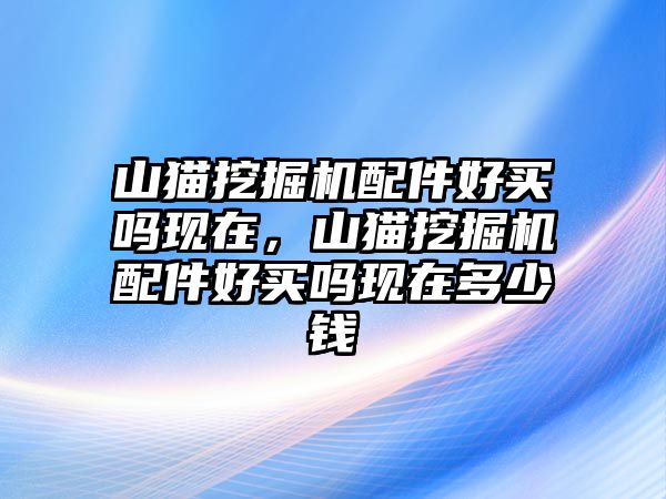 山貓挖掘機配件好買嗎現(xiàn)在，山貓挖掘機配件好買嗎現(xiàn)在多少錢