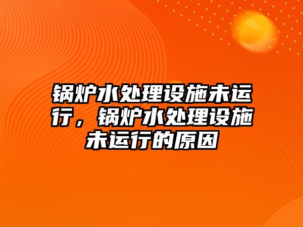 鍋爐水處理設(shè)施未運(yùn)行，鍋爐水處理設(shè)施未運(yùn)行的原因