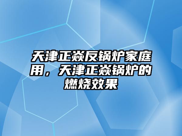 天津正焱反鍋爐家庭用，天津正焱鍋爐的燃燒效果