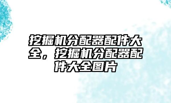 挖掘機(jī)分配器配件大全，挖掘機(jī)分配器配件大全圖片