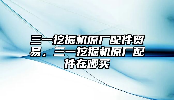 三一挖掘機原廠配件貿(mào)易，三一挖掘機原廠配件在哪買