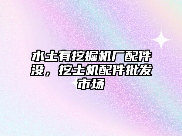 水土有挖掘機(jī)廠配件沒，挖土機(jī)配件批發(fā)市場