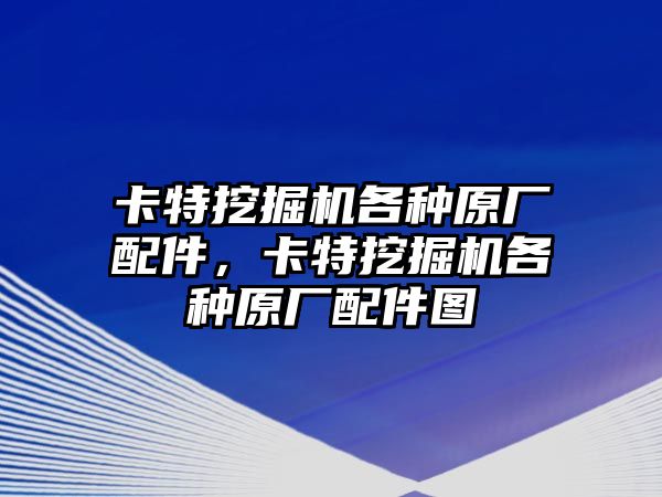 卡特挖掘機各種原廠配件，卡特挖掘機各種原廠配件圖