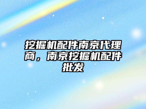 挖掘機配件南京代理商，南京挖掘機配件批發(fā)