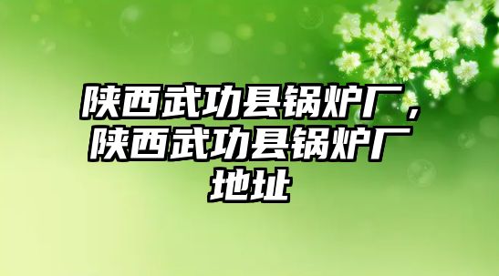 陜西武功縣鍋爐廠，陜西武功縣鍋爐廠地址