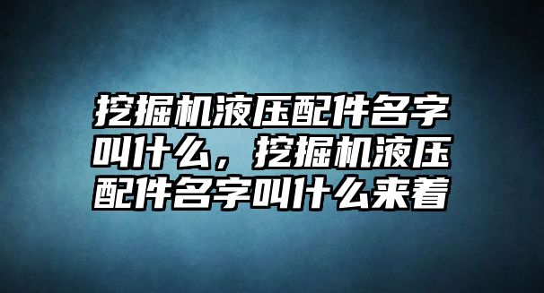 挖掘機(jī)液壓配件名字叫什么，挖掘機(jī)液壓配件名字叫什么來(lái)著