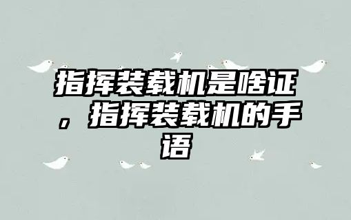 指揮裝載機(jī)是啥證，指揮裝載機(jī)的手語(yǔ)