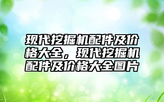 現(xiàn)代挖掘機配件及價格大全，現(xiàn)代挖掘機配件及價格大全圖片