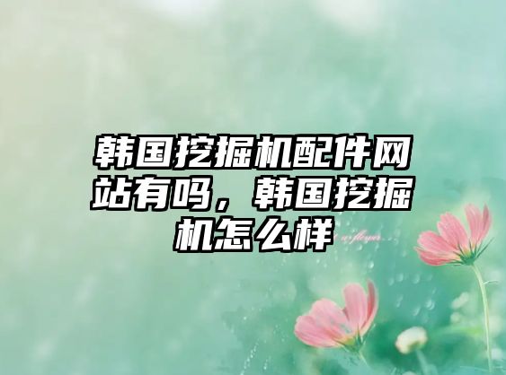 韓國挖掘機(jī)配件網(wǎng)站有嗎，韓國挖掘機(jī)怎么樣