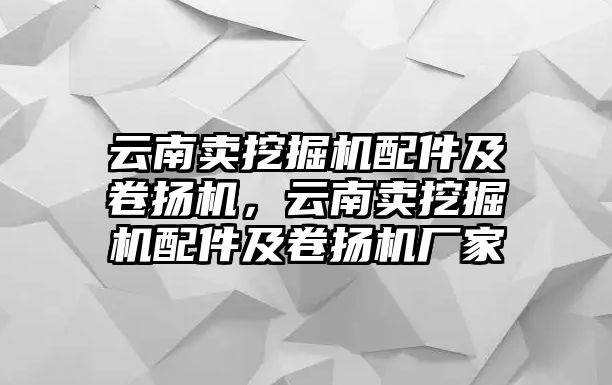 云南賣挖掘機配件及卷揚機，云南賣挖掘機配件及卷揚機廠家