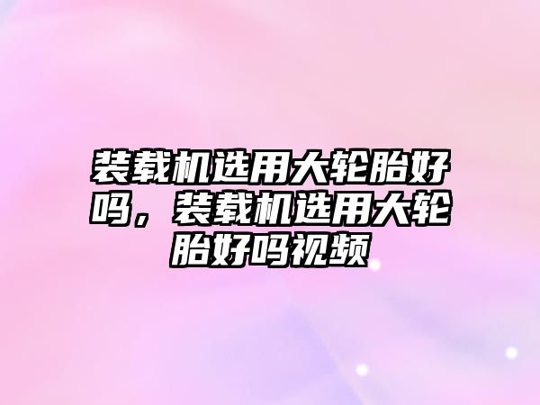 裝載機選用大輪胎好嗎，裝載機選用大輪胎好嗎視頻