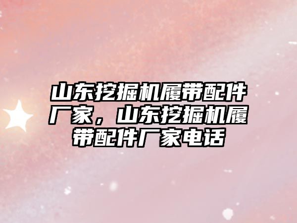 山東挖掘機履帶配件廠家，山東挖掘機履帶配件廠家電話