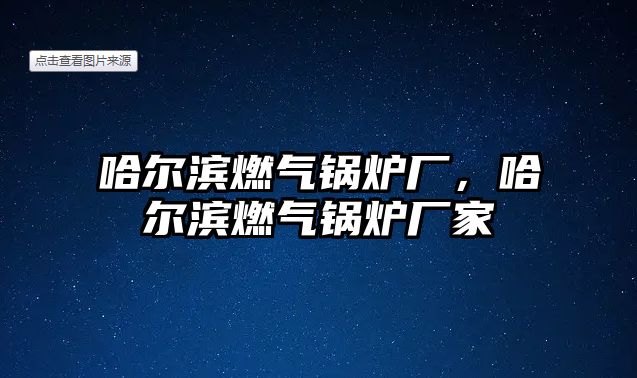 哈爾濱燃氣鍋爐廠，哈爾濱燃氣鍋爐廠家