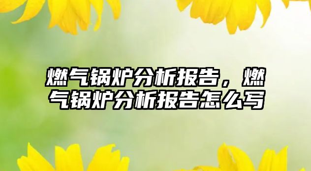 燃氣鍋爐分析報告，燃氣鍋爐分析報告怎么寫