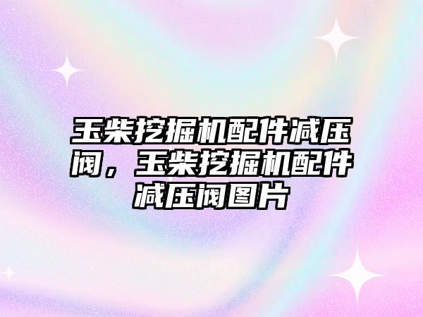 玉柴挖掘機配件減壓閥，玉柴挖掘機配件減壓閥圖片