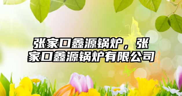 張家口鑫源鍋爐，張家口鑫源鍋爐有限公司