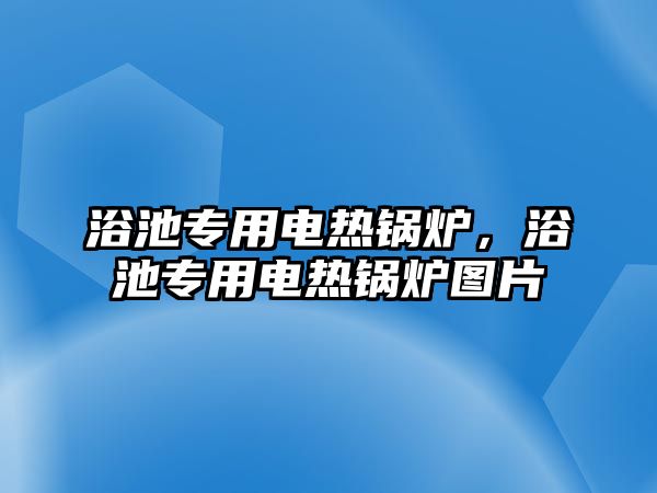 浴池專用電熱鍋爐，浴池專用電熱鍋爐圖片