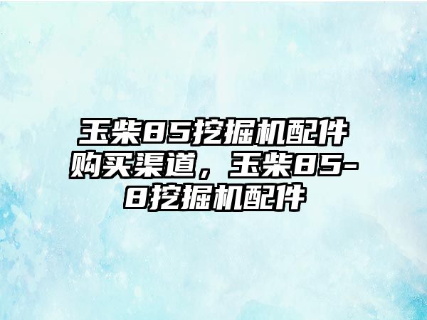 玉柴85挖掘機(jī)配件購(gòu)買渠道，玉柴85-8挖掘機(jī)配件